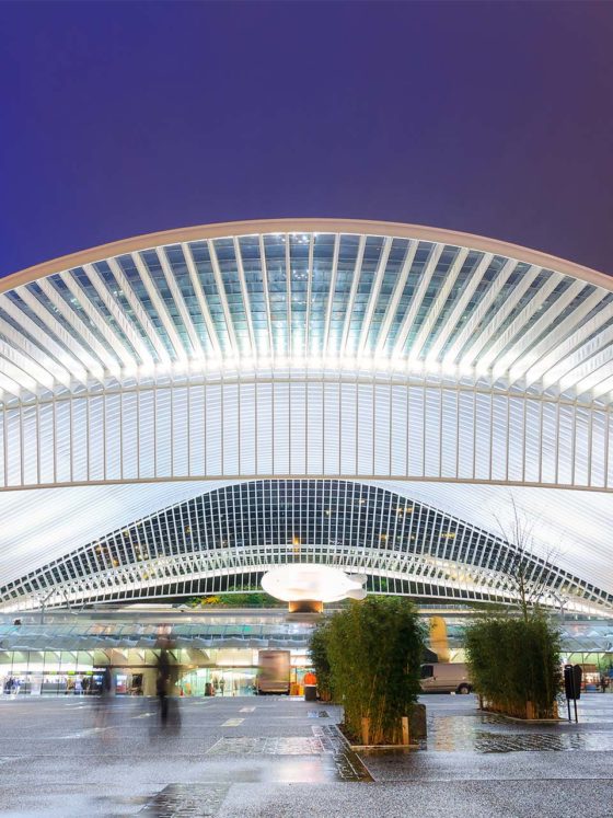 Gare des Guillemins